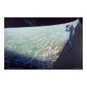 Ringworld: Over the Edge posters by orionworks Ringworld: Over the Edge posters