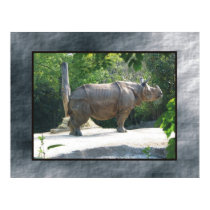 Rino posters by rockyj Rino posters