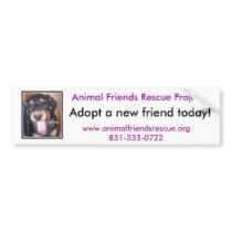 Rio Adopt a Friend Bumper Sticker bumper stickers by AnimalFriendsRescue Rio Adopt a Friend Bumper Sticker bumper stickers