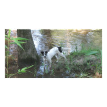 Rio by the Tchefuncte Customized Photo Card
