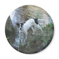 Rio by the Tchefuncte magnets