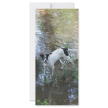 Rio by the Tchefuncte Customized Rack Card