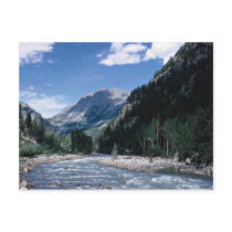 Rio de Animas in the San Juan Mountains, Colorado, Postcards