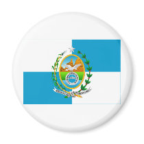 Rio de Janeiro, Brazil Flag Magnet