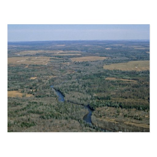 Río de Madawaska, fauna nacional Refug de Aroostoo Postales