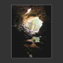 Rio Frio Cave Postcard