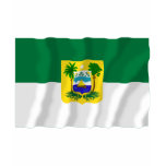 Rio Grande do Norte, Brazil Waving Flag Tshirts