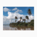 Rio Papaloapan, Veracruz postcards by billdelaluz Rio Papaloapan, Veracruz postcards