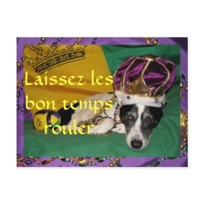 Rio's Mardi Gras Postcard by naturegirl7