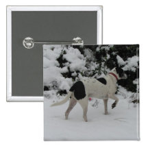 Rio's Snow Point Pinback Buttons