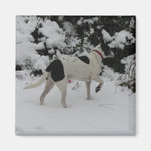 Rio's Snow Point Refrigerator Magnet