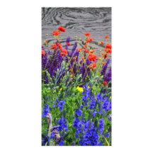 riot of colors picture card
