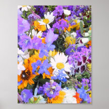 Riot of Floral Colors Print