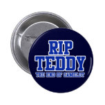 RIP Ted Kennedy Button