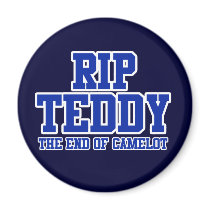RIP Ted Kennedy magnets
