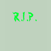 RIP WOMENS TANK t-shirts