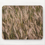 Ripe barley mouse pad