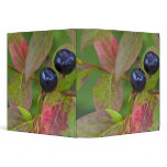 Ripe huckleberries in the Flathead National Binders