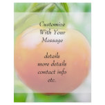 Ripe Red Heirloom Tomato flyers