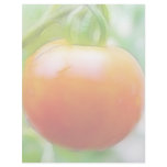 Ripe Red Heirloom Tomato Personalized Letterhead