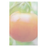 Ripe Red Heirloom Tomato Custom Stationery