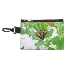 Ripe seed pods on native plant and green  leaves accessory bags