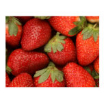 ripe strawberries postcards