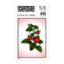 Ripe Strawberries Ripe (Stamp)