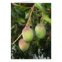 Ripening Cards