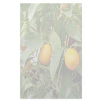 Ripening Orange Kumquats Stationery by SialiciousStationary Ripening Orange Kumquats Stationery