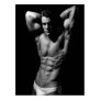 Ripped Bodybuilder Postcard
