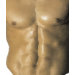 Ladies Baby Doll (Fitted)