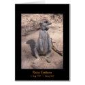 Risca Legends Card by fkmp_store Risca Legends Card