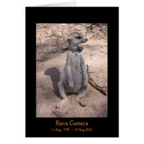 Risca Legends Card by fkmp_store Risca Legends Card