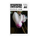 rise against postage by DarkShadow1713 rise against postage
