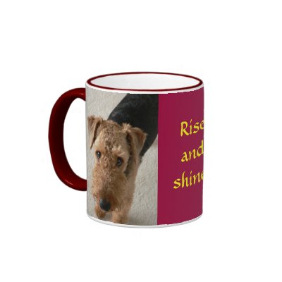 Rise and shine! mug by hopefulone