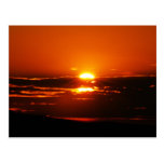 Rise And Shine Postcards