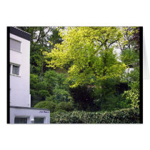 Rising Backyard cards by janMarco Rising Backyard cards