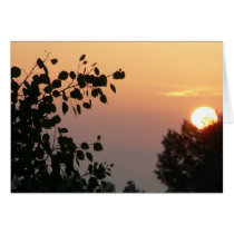 Rising Sun 2 cards
