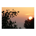 Rising Sun 2 posters by codfishlady Rising Sun 2 posters
