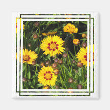 Rising Sun Coreopsis Square Magnet