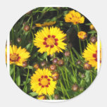 Rising Sun Coreopsis Sticker