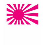 Rising Sun in Pink t-shirts