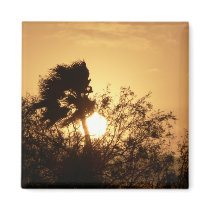 Rising sun. magnets