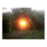 Rising Sun