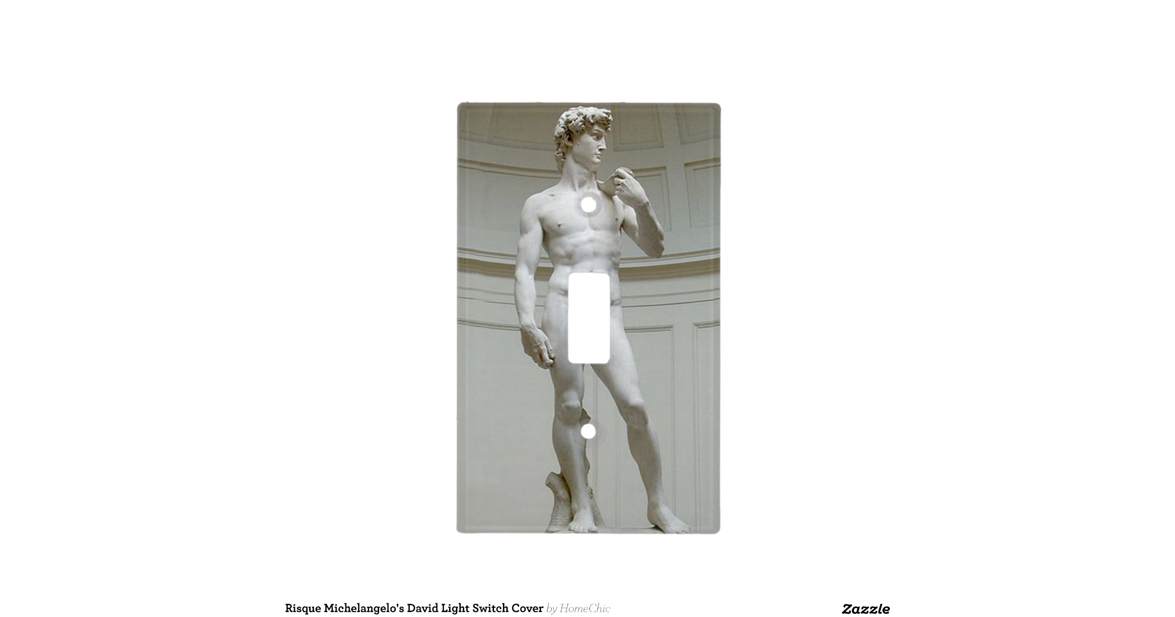 risque_michelangelos_david_light_switch_cover