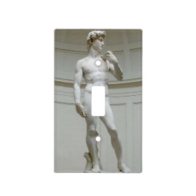 Risque Michelangelo's David Light Switch Cover