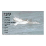 Risso's dolphin business card templates