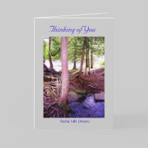 Ritchie Falls photo, Ritchie Falls Ontario, Thi... cards