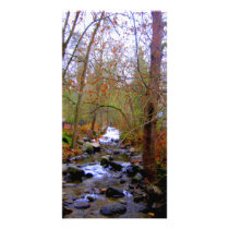 River and Bare Trees Photocard Photo Cards